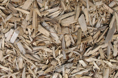 biomass boilers Pease Pottage